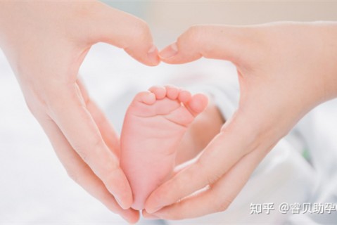 http://xuzhou.51dzb.net/post/188.html|徐州新闻中心
