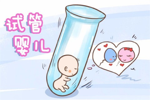 http://xuzhou.51dzb.net/post/212.html|徐州新闻中心